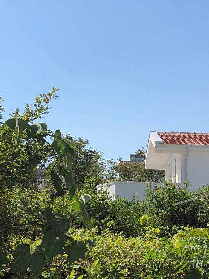 Villa Dafina Donji Stoj Exteriér fotografie